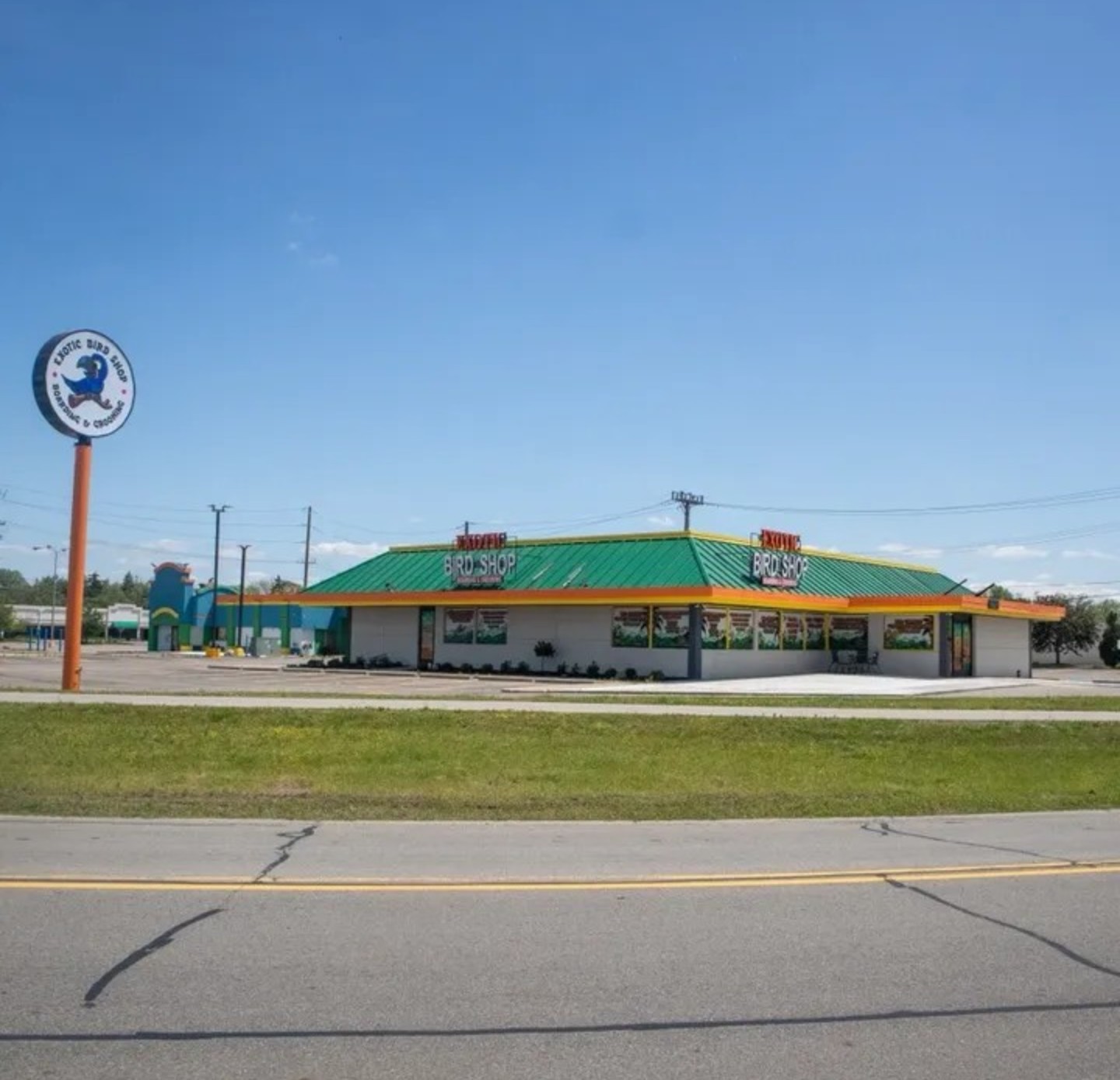 Exotic Bird Shop storefront in Belleville, Michigan, with its green roof and round parrot sign